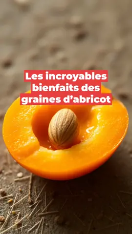 Ne jetez plus vos graines d’abricot ! 🌱 Que pensez-vous du potentiel de la vitamine B 17 ?      Cette vidéo a été créée avec Vexub. #amande #amadeabricot #amygdalin #nutrition #cancer 