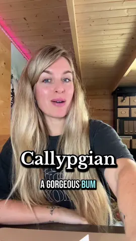 (*realised I misspelled the title after posting)  Callipygian/Callipygous (adj.) in possession of a beautiful butt, a perfect peach, a shapely tooshie. #libraryoflogomania #wordnerds 