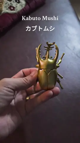 Di Jepun, Kabuto Mushi (Kumbang Badak) bukan sekadar serangga… Ia adalah simbol musim panas, kekuatan dan keberanian. Nama 'Kabuto' diambil dari topi perang samurai sebab bentuk kepalanya! Budak-budak Jepun dulu suka bela Kabuto Mushi untuk berlawan macam Pokemon versi real-life! #BenSensei