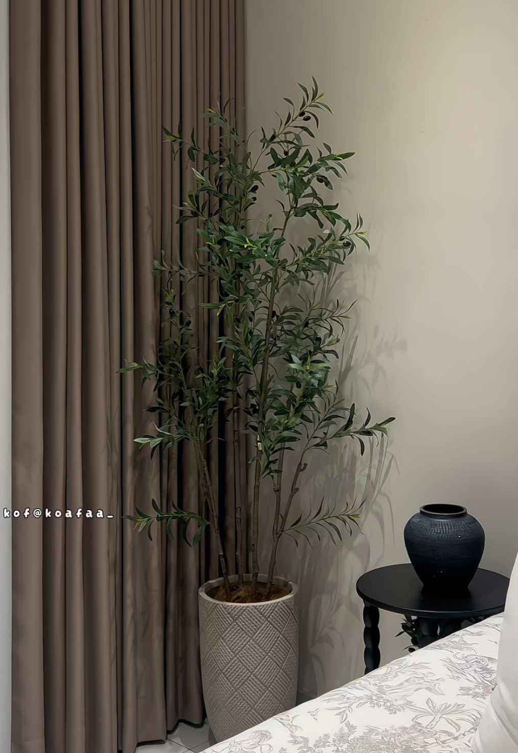 Replying to @Farid Sazali pokok olive tinggi 180cm beli sini  #pokokolive #pokokolive180cm #olivetree 