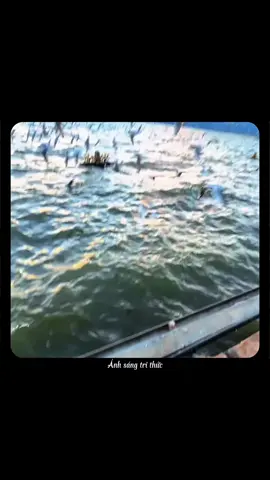 Hôm nay anh công khai cô ấy rồi. #anhsangtrithuc#truyencamhung#chualanh