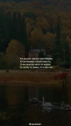 #рекомендации #реки #fy 