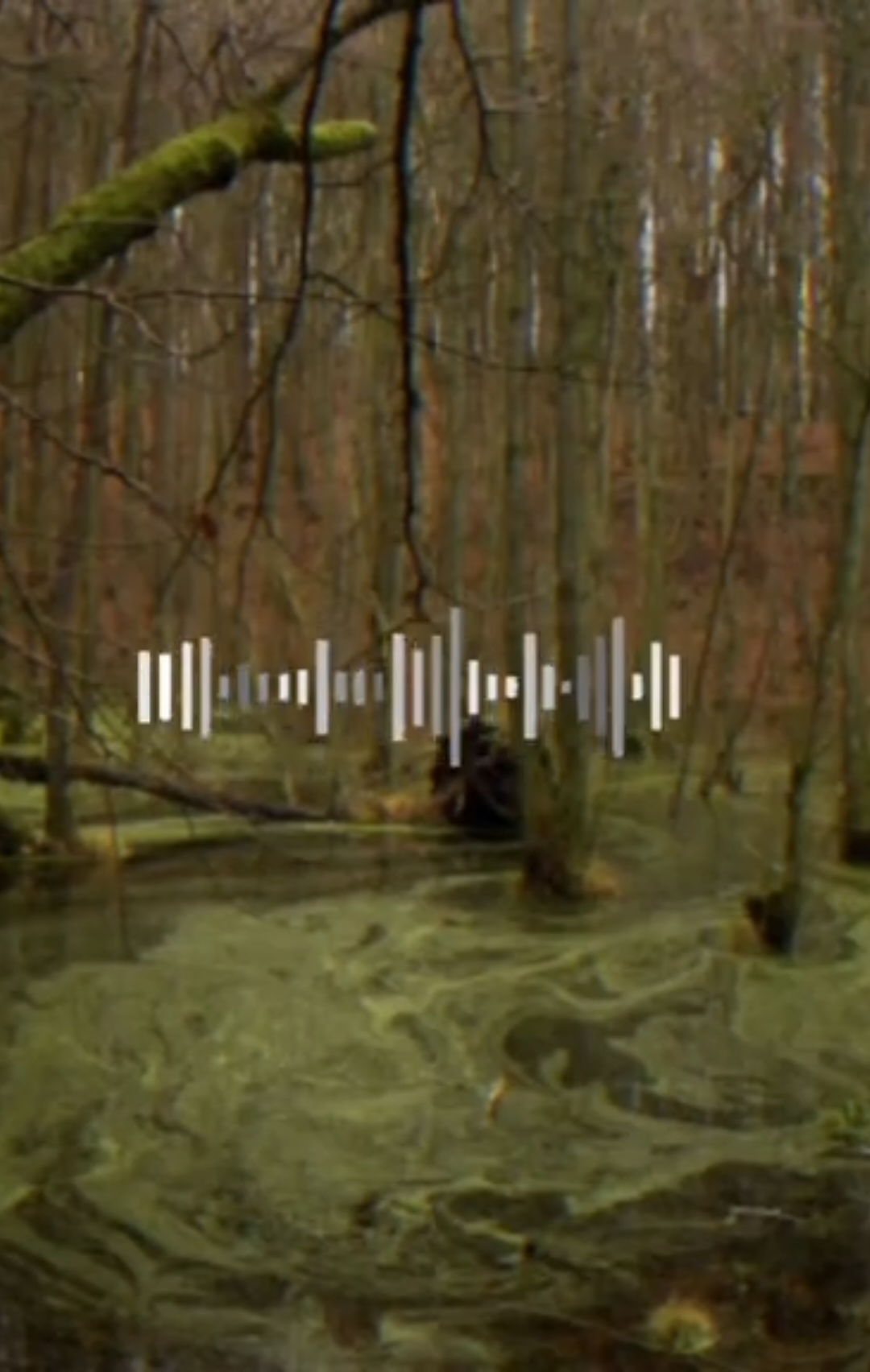 кринжа вам в ленту 🩷 #футажтекстом #песня #квинкашаритзакпоп 