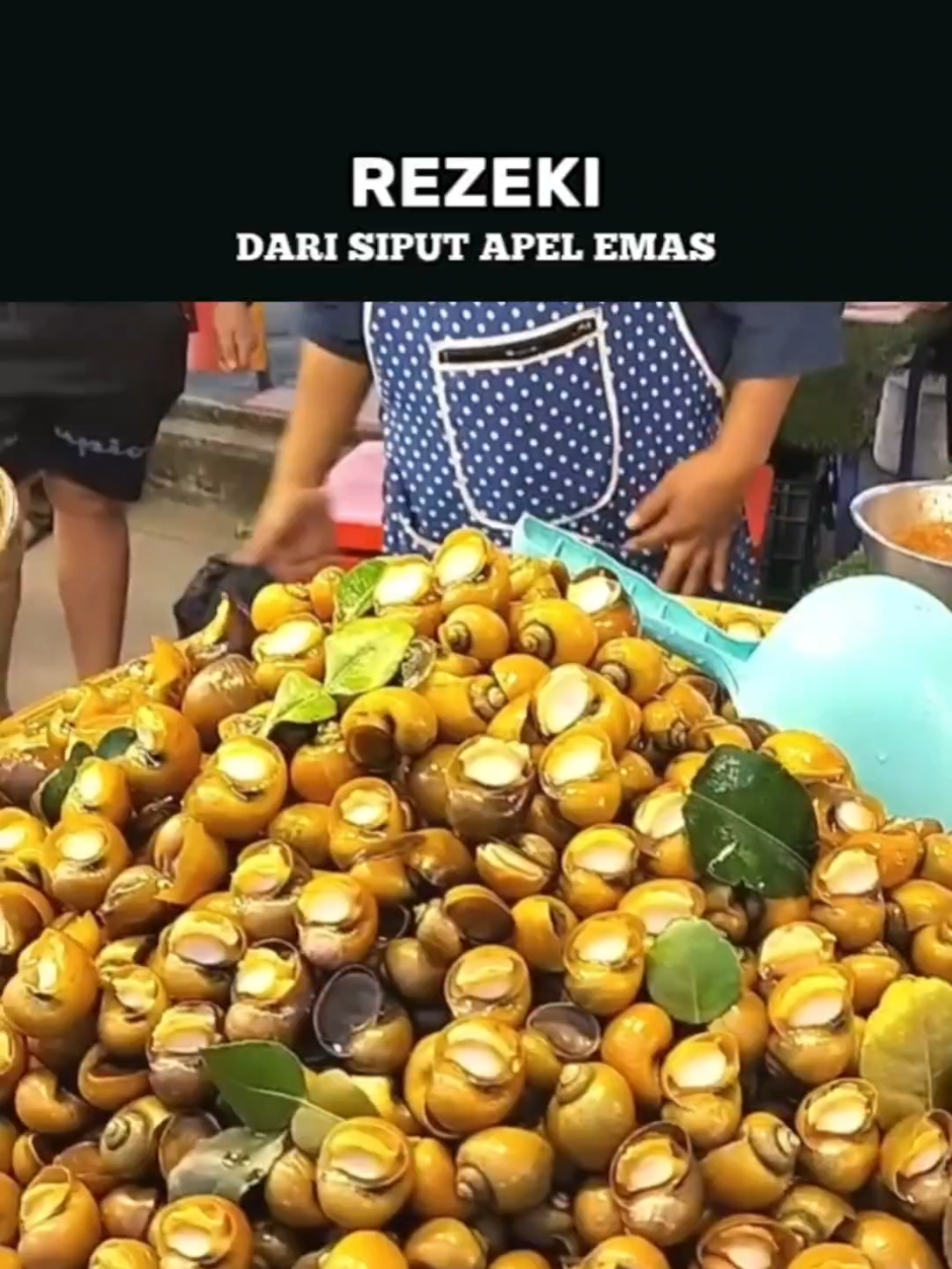 Dari kolam desa hingga meja makan, siput apel emas jadi primadona yang membawa rezeki. #Thailand #Budidaya #KeongSawah #SiputApelEmas #kuliner 