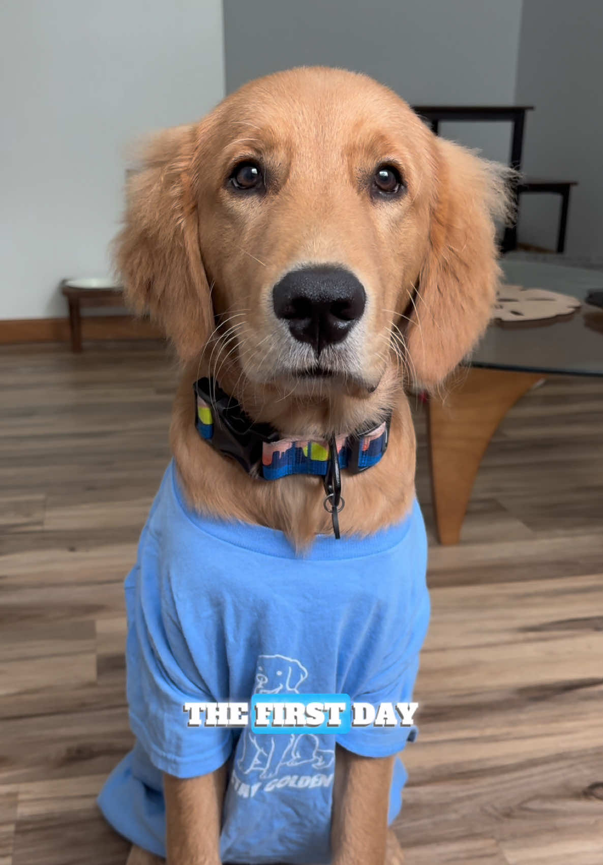 Heyyyy!! Outfits for the first day👀 #tiktokshop #tiktokshopmademebuyit #foryoupage #shoppinghaul #linkbelow👇👇👇 