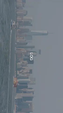 The birds were paid actors #cinematography #colorgrading #nyc 