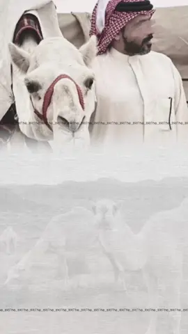 بشارة سمي ابوي | تزال الحقوق عند الطلب 🤍#الشعب_الصيني_ماله_حل #اكسبلور #explore #دعوات_الكترونيه #سمي_ابوي #مرحبا #foryou #funny #fyp 