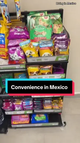 I find this life - #livinginmexico - incredibly convenient! I love the way this culture is structured to make daily life so easy. #creatorsearchinsights #livingabroad #mexicanculture #TikTokLearningCampaign 