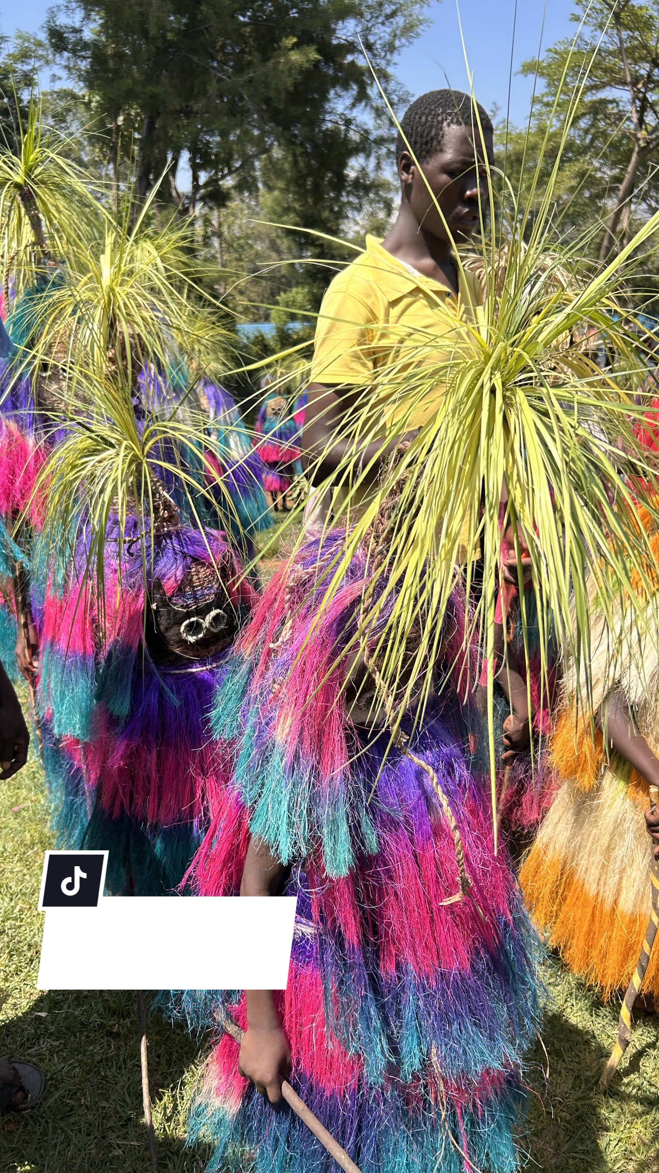 #tirikiculture #tiriki #vihigacounty #givogi #tirikimsituni 