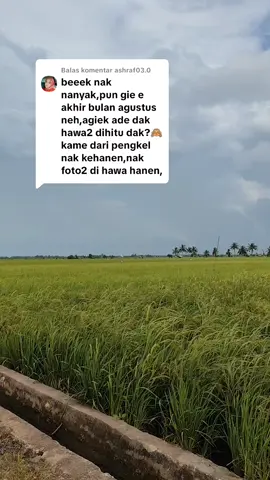 Membalas @ashraf03.0 nganyau lah kehabang.. agek ade kayak e😃😃😃#bangkaselatan #basel #toboalibangkaselatan #bangkaselatan #toboali 