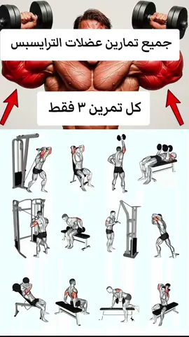#bodybuilding #الكابتن_حيدر_جابر #صعود_الوزن #تمارين_نسائية #لياقه_بدنية 
