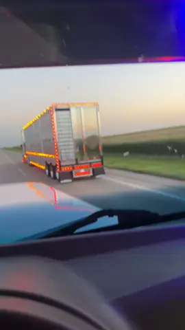 Lookin right for the ride 😎 #fyp #peterbilt #wilsontrailers #cowtruck #korthfeedlots #cowtruckin 