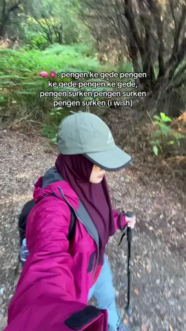 pengenn bangett plss #gununggede #4u #pendakigunung #pendakicantik #fyp 