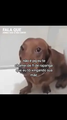 #humor #cachorro #pov #fyppppppppppppppppppppppp 