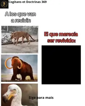 A ciência afirma: O último chamado de um pássaro Kaua‘i ‘Ō‘ō, nativo da ilha Kaua‘i no Havaí, foi registrado em 1987 antes que a espécie se extinguisse. Essa gravação capturou o último chamado do macho da espécie. O Kaua‘i ‘Ō‘ō enfrentou a extinção devido às atividades humanas, à destruição de seu habitat, a espécies invasoras e doenças. Apesar dos importantes esforços para localizar mais aves dessa espécie, elas foram declaradas extintas. #Ciência #AnimaisExtintos #KauaiO‘o #Havaí #HistóriaNatural         