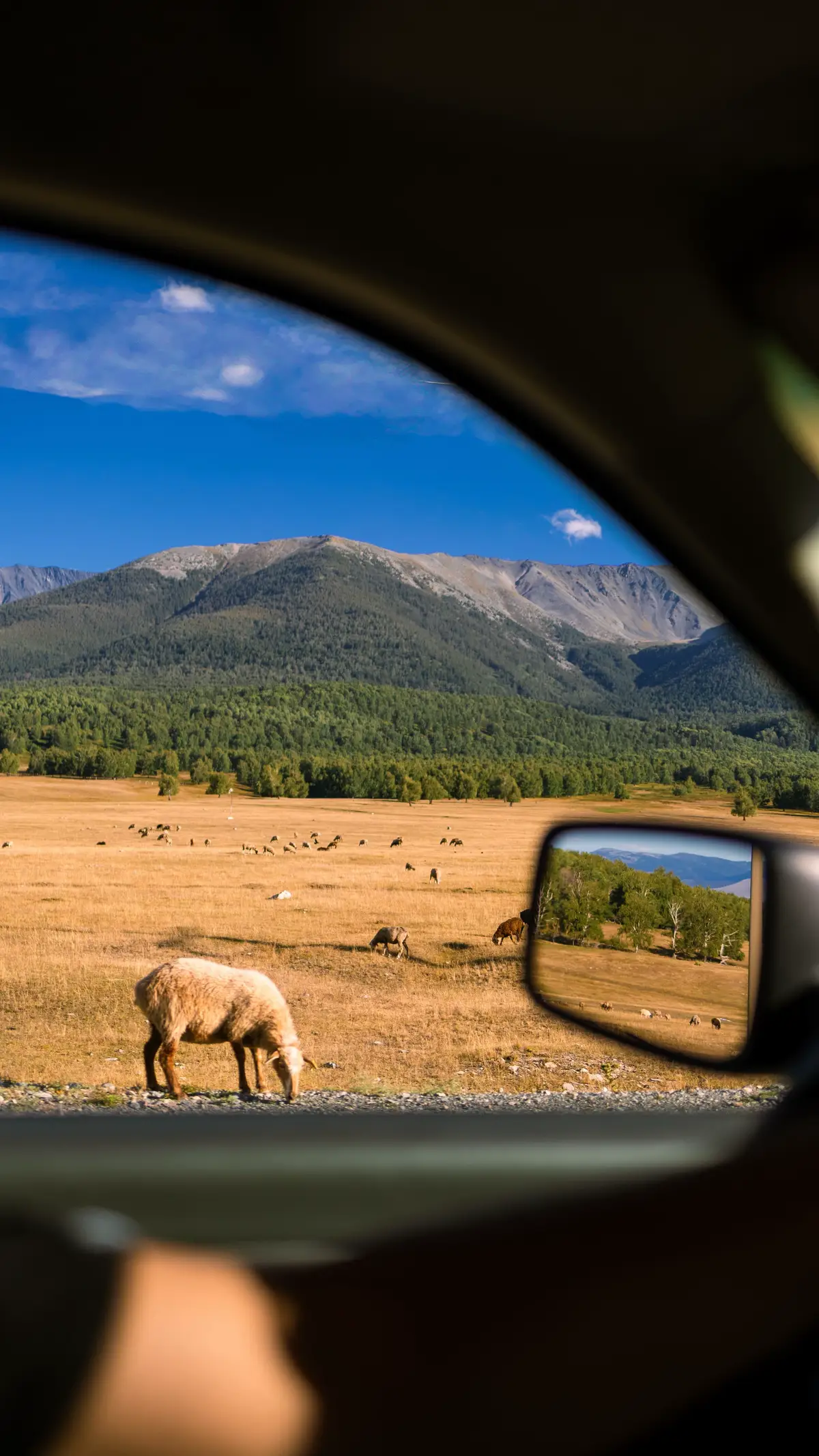 Шығыс Қазақстанда түсіргенім📸