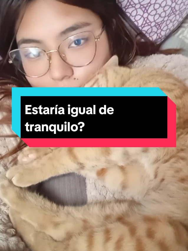 Bueno...cuando vamos camino al veterinario se dará cuenta 🙃 #catlover  #michis #humor #paratii #fyp 