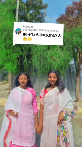 Replying to @user4333082910650 #viral#foryou#fyp#fypシ゚viral  #tigraytiktok🇻🇳🇻🇳tigraytiktok 