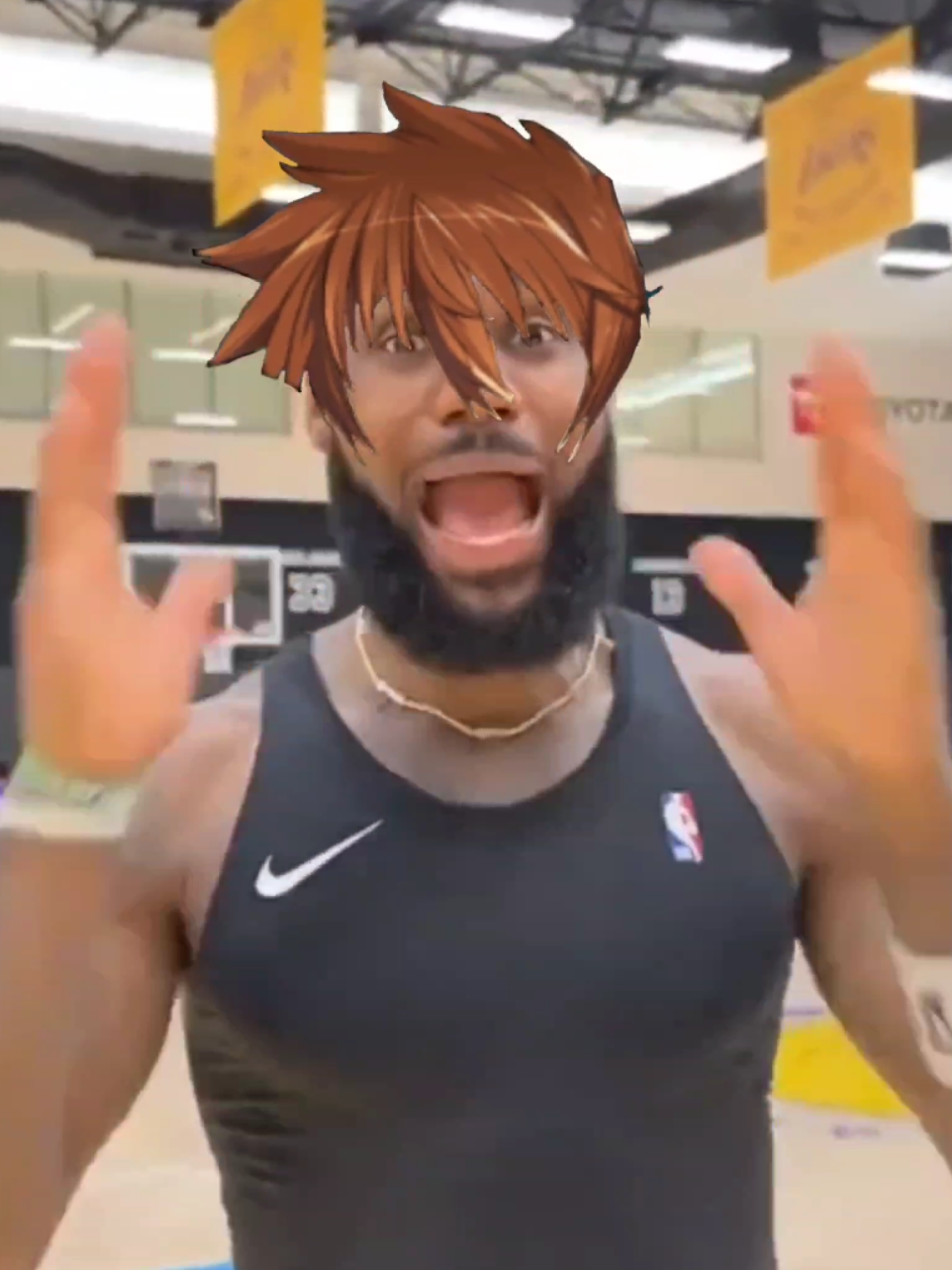 LeBron James scream if you love the Rance series#ranceseries #rance #eroge #alicesoft #rancetiktok 