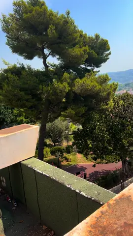 #mapper #background #freebackground #naturebackground #nature 