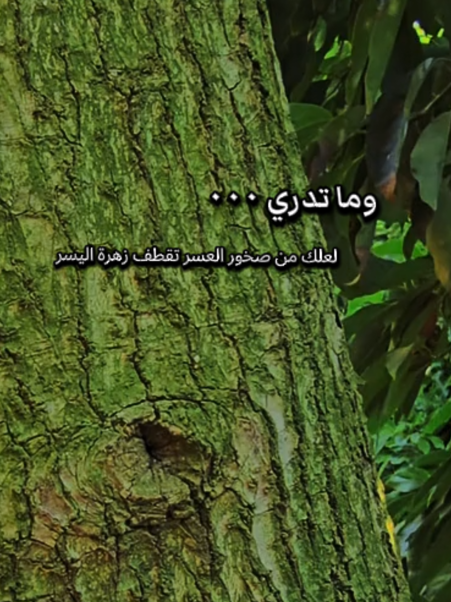 وما تدري  لعل القادم افضل واجمل   #تصويري#بدون_موسيقى#السعوديه #نابلس_فلسطين #foryou 