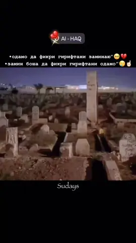 #актив #таджикист #таджикистан🇹🇯 #рекомендации #реки #тиктокеркомедии 