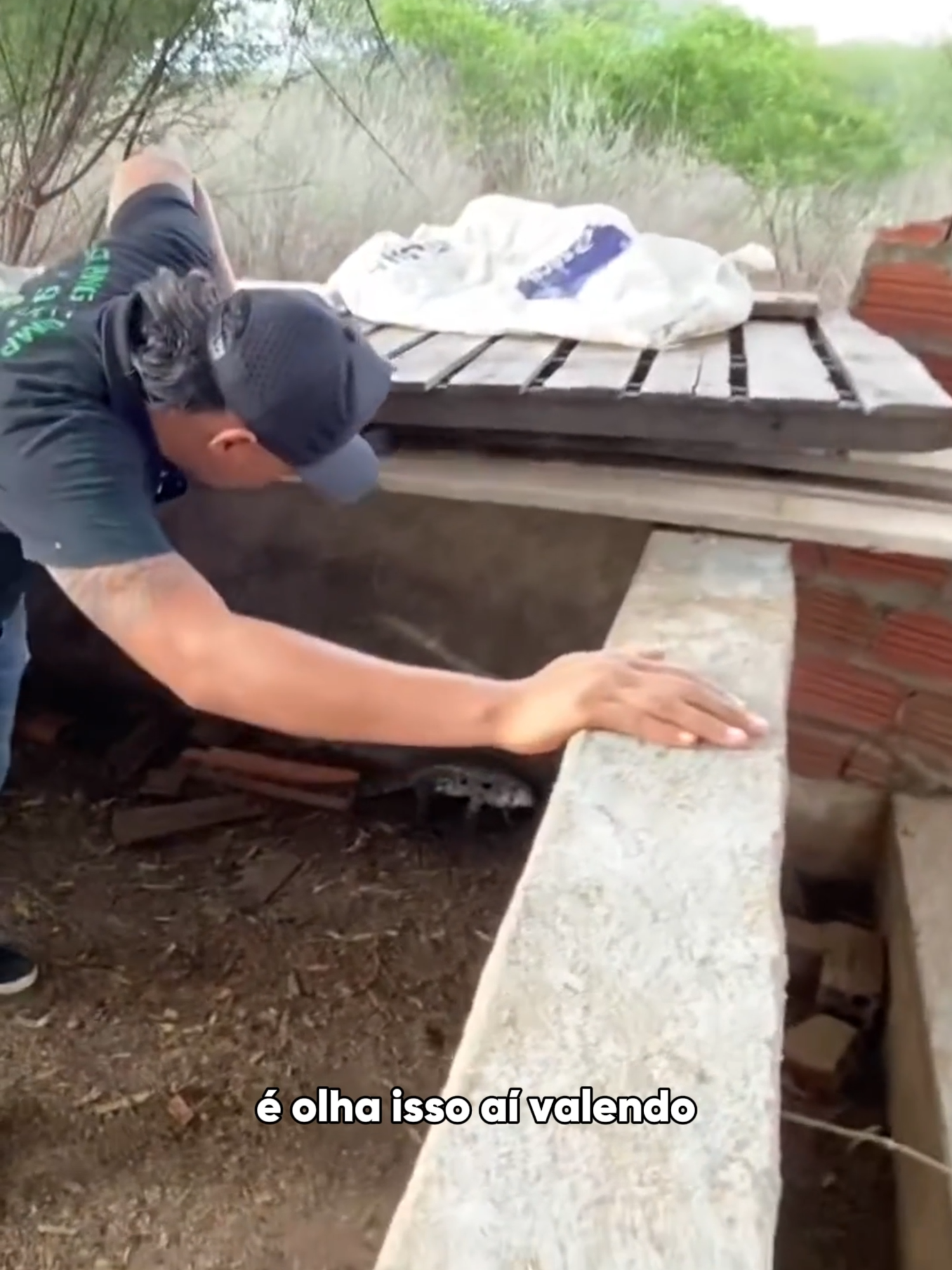 Tiringa fica bravo com Charlles por soltar lagarto que comeceu os ovos  #memes #tiringa #tiringa_comedia_selvagem #tiringaoficial #piada #piadas #sorrir #trolagem #rindo #alegria #charlesetiringa #animais