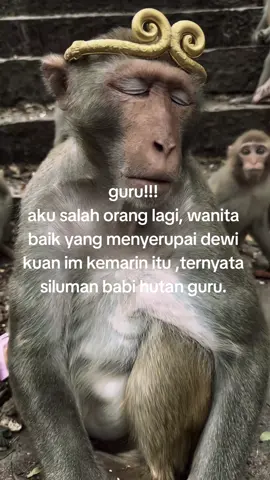 wanita itu ternyata siluman guru :v#kerasakti #sungokong #dewikuanim #sungokongkerasakti 