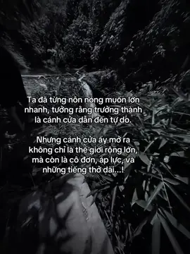 我曾经渴望快点长大，以为成年就是通往自由的大门。可那扇门，不仅通向广阔的世界，也通向孤独、压力、叹息……！ #fyp #tamtrang #sory #abcxyz #hoanganh29012003 