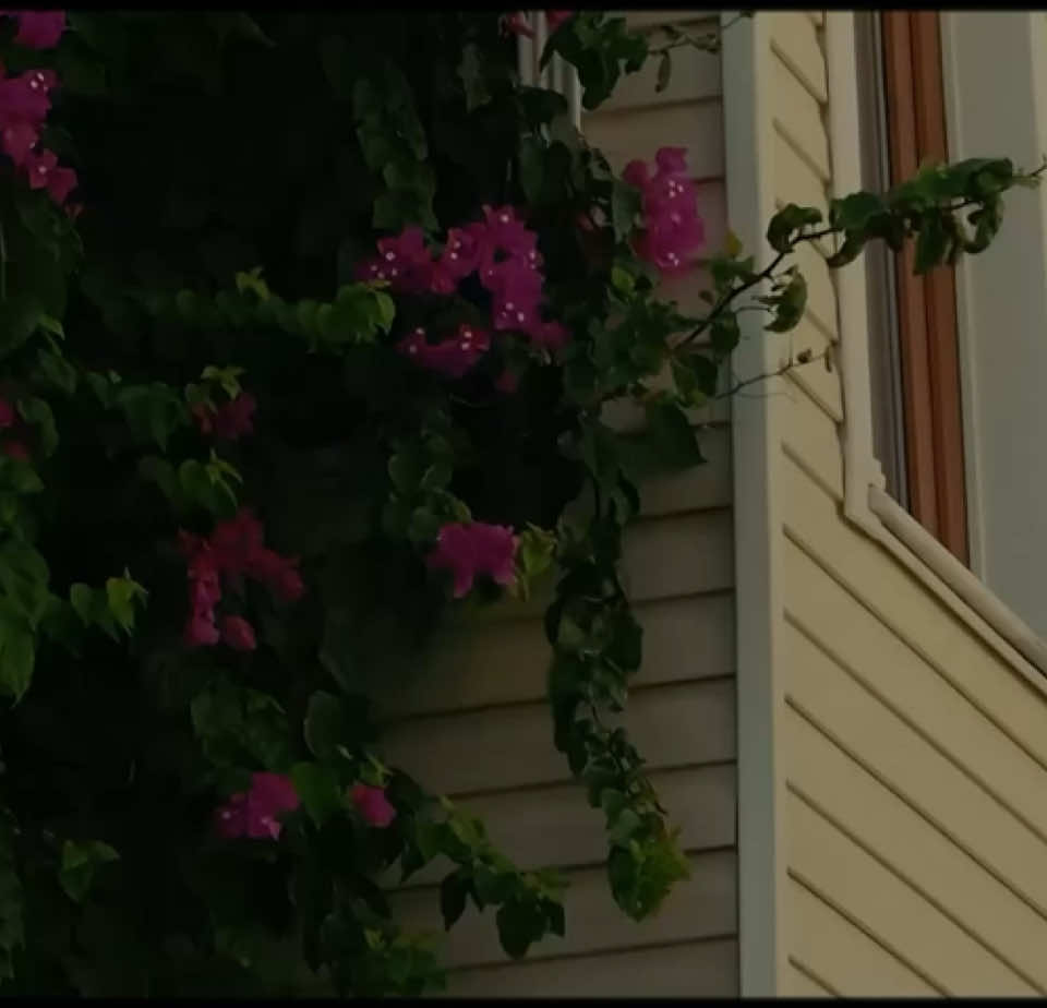 إن الله وملائكته يصلون على النبي#قران #سوره_الاحزاب #محمود_علي_البنا #البنا #quran #quran_alkarim 