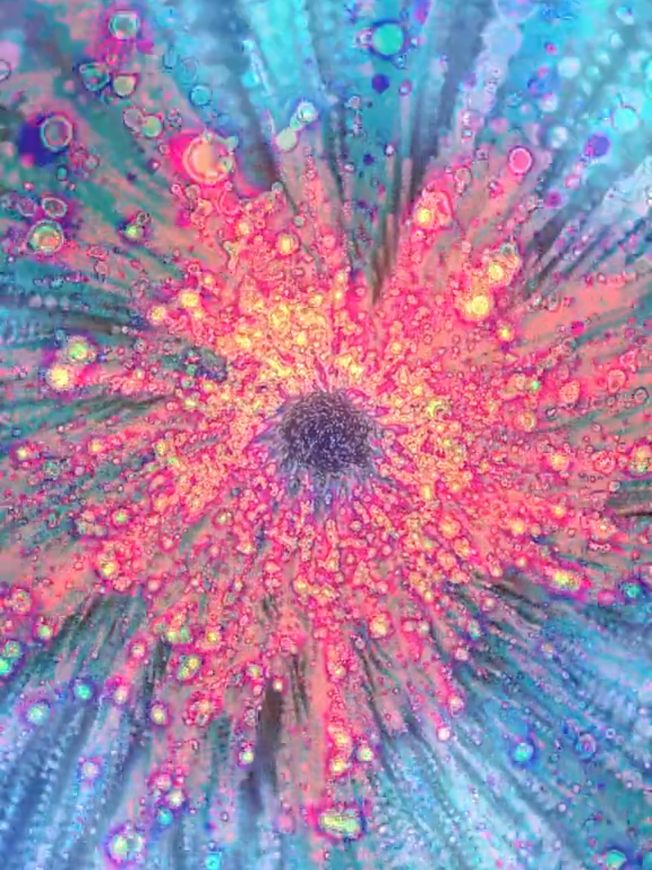 The Dave Brubeck Quartet 