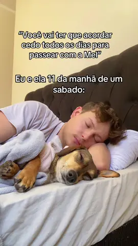 #dormindo #cachorropreguiçoso #passeio #humor #dormindocompet 