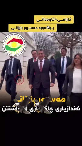 Sarok..!🖤👑🦅#masrourbarzani #areenbarzani #barzani #sherwani #soran 