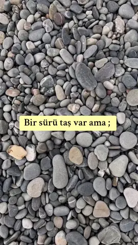 #keşfet #akım #akımvideoları #kesfet #beniöneçıkart 