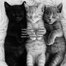 две даши мои