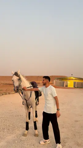 نهاية غير متوقعة 🤣🐎#الخيال_محمد #ماشاءالله #سدير #حاكم #