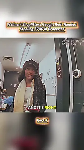 Part.1 #fyp #police #policeofficer #cops #bodycam 