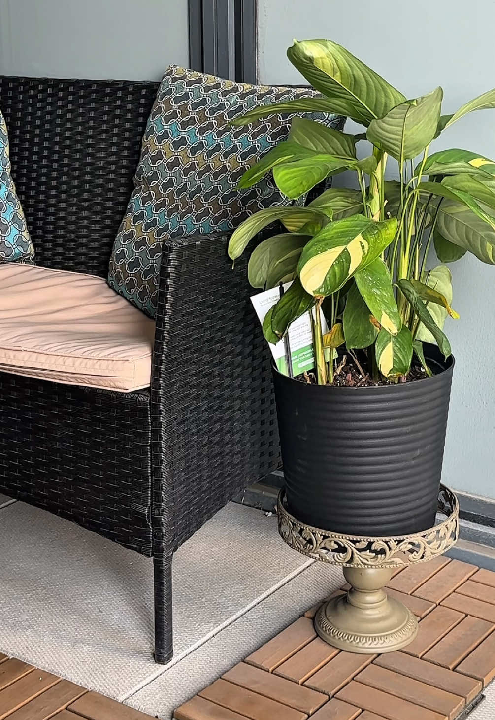 Do you deep clean your thrift store finds? 🧼🧽 I really like this flower stand 🪴 #creatorsearchinsights #vintage #asmr #thrift #cleaning 
