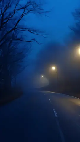 Calm your mind and soul with this dark ambient spotify playlist