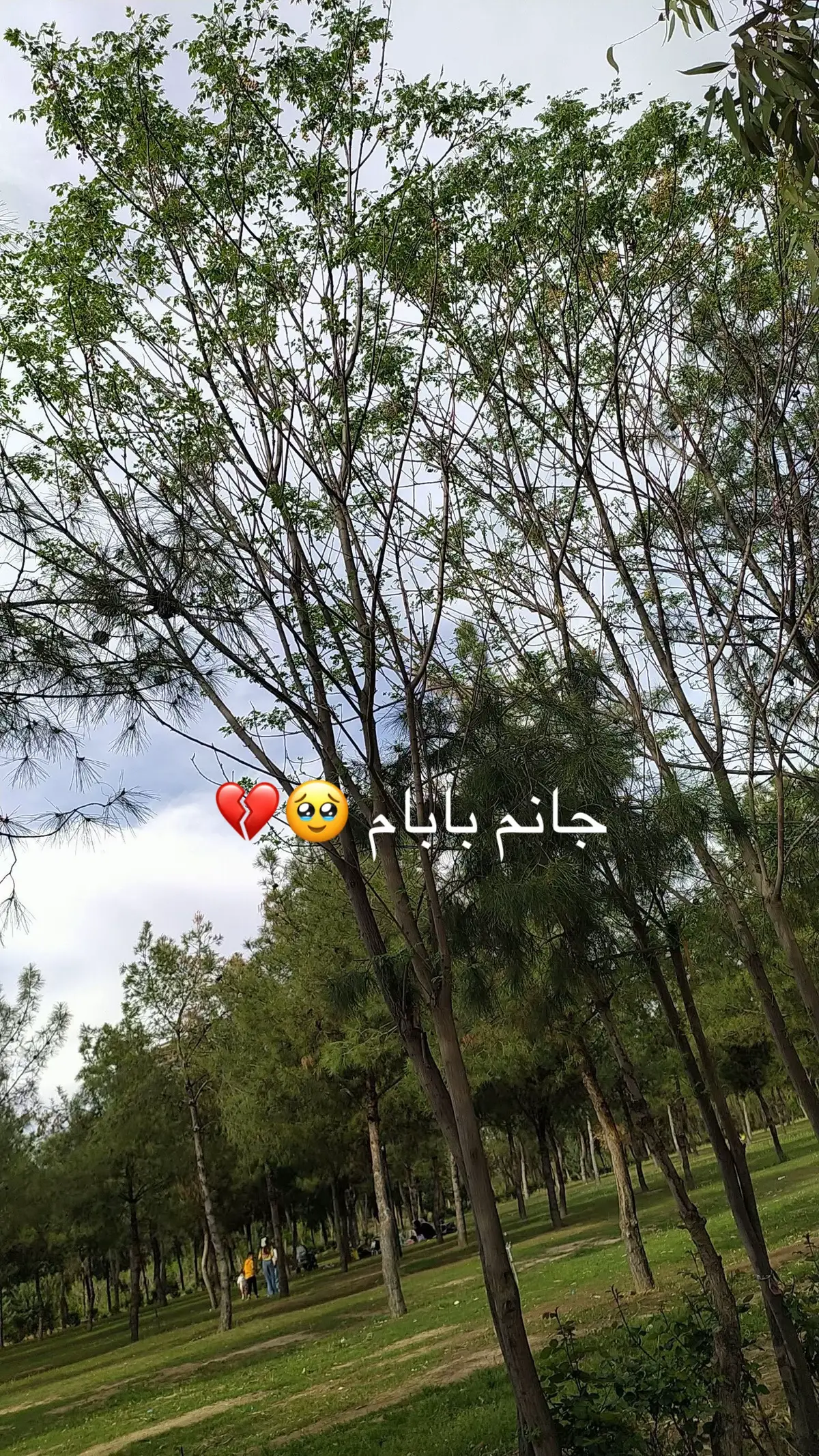 #öneçıkar #