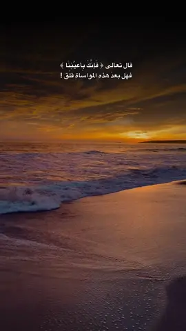 #CapCut #عبارات 