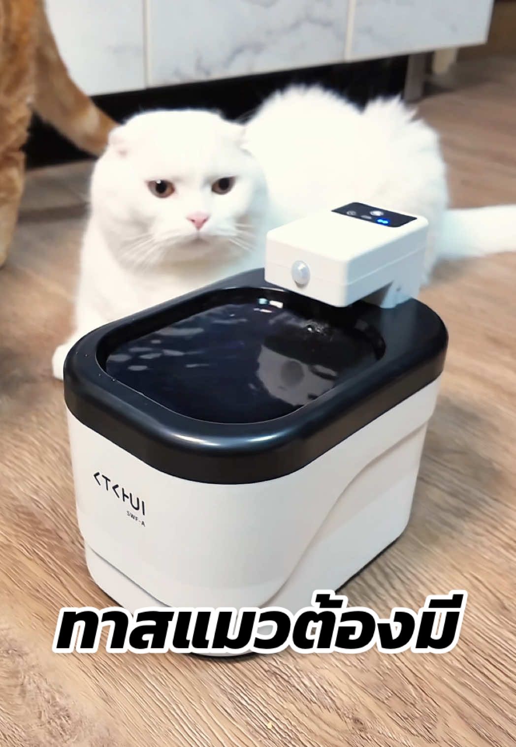 รุ่นนี้ดีมาก ไม่ต้องเสียบปลั๊ก มีระบบเซ็นเซอร์ตรวจจับน้องๆเวลาเดินผ่าน #น้ำพุแมว #ทาสแมว #ของใช้แมว #น้ำพุแมวไร้สาย #ทาสแมวต้องมี 