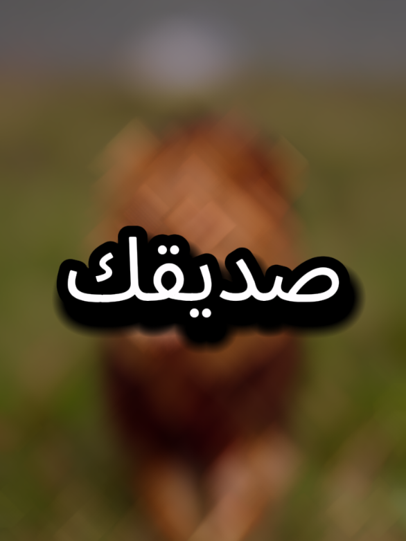 ليس كل من قال أنا صديقك يستحق الثقة فبعض الألسن تبتسم والقلوب تخفي خناجرها... الصديق المخادع هو من يلبس توب الوفاء  #اقتباسات #اقوال #المواقف #اقتباسات_عبارات_خواطر #عبارات 