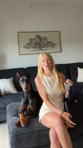 he needed some assistance this time