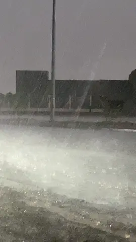 من امطار سحابه الحقو قبل قليل صب غزير جدا #foryoupage #الشعب_الصيني_ماله_حل #خريف_جازان #اكسبلورر #foryou 