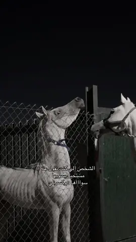 الشخص إلي كنت تقول عنه مستحيل يسويها سواااها : وكسرني 💔 . . . #خيل_وخياله🐎 #اصاله #خيل #اقتباسات #explore 