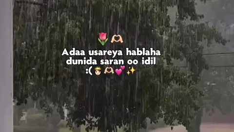 Kaliged🫶🏻👸🥺 #veiwsproblem #anas #viralvideos #foryoupage #somalitiktok 