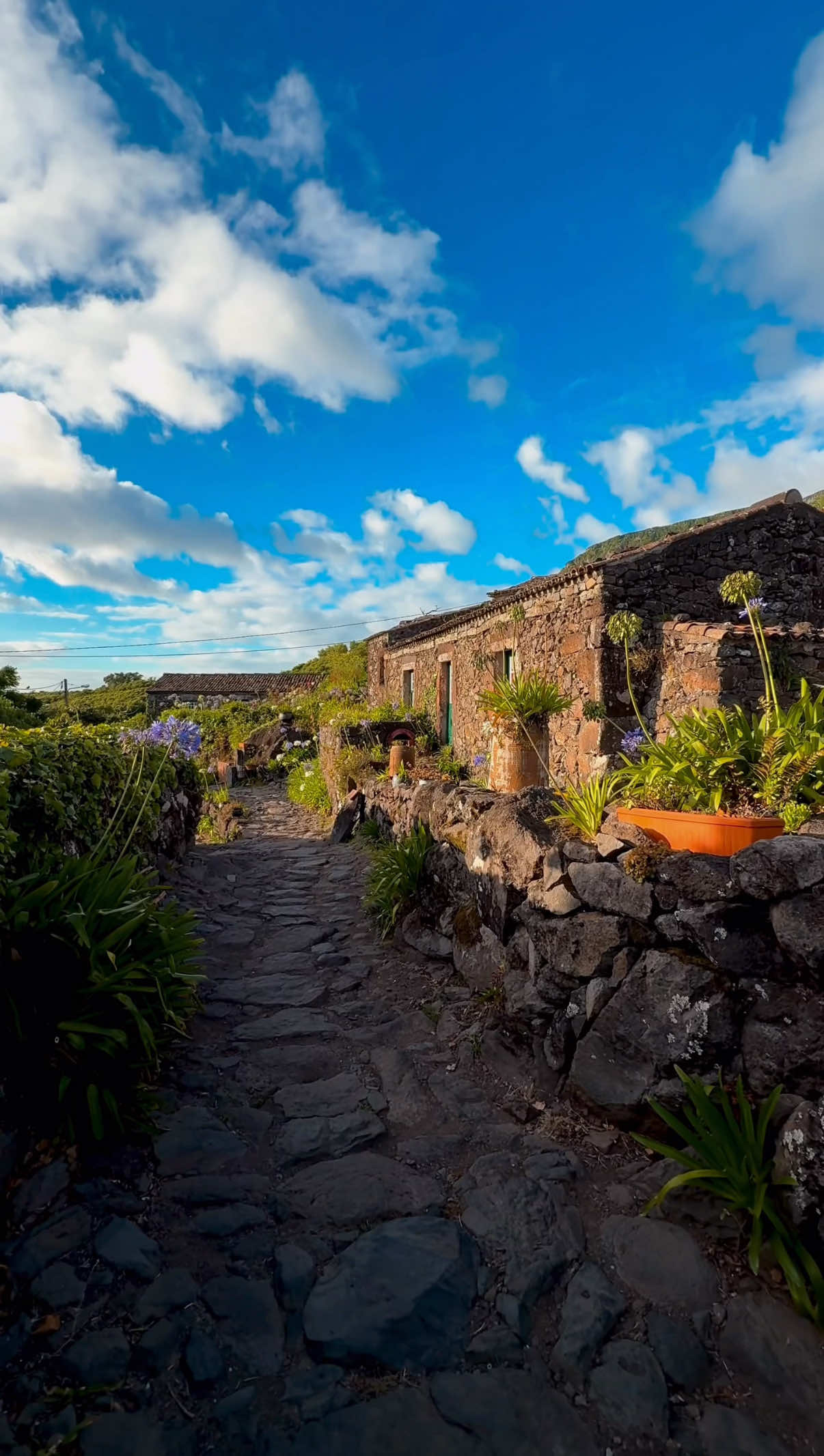 Aldeia da Cuada - Ilha das Flores 🌺 #azores #açores #travel #portugal  