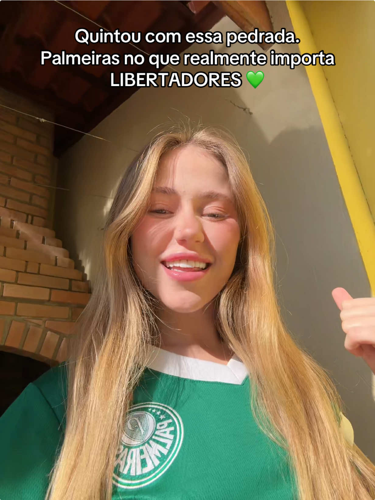 HOJE É DIA DE PALMEIRAS. DIA DE LIBERTADORES.  #palmeiras #futebol #libertadores  #hybyd