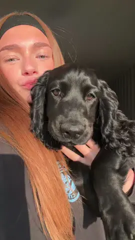 🐾